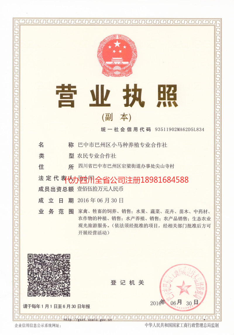 中卫中卫小马种养殖专业合作社